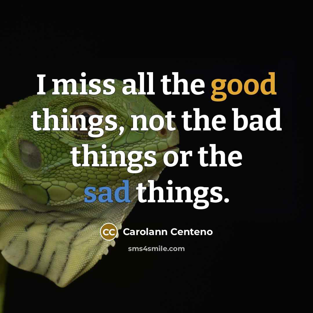 “I miss all the good things, not the bad things…” quote by Carolann Centeno