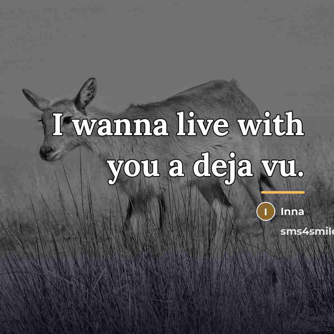 “I wanna live with you a deja vu.…” quote by Inna