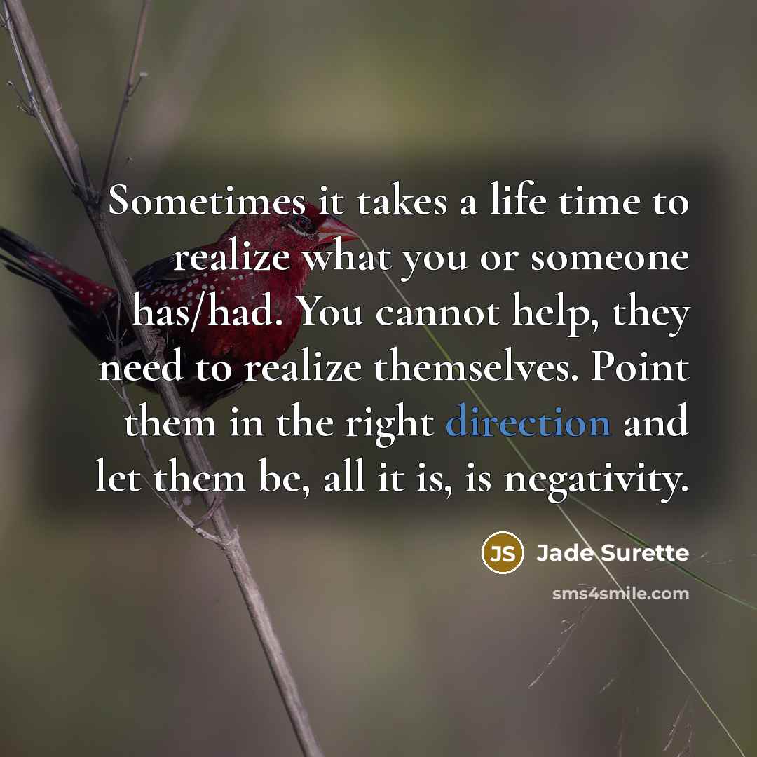 “Sometimes it takes a life time to realize what you…” quote by Jade Surette