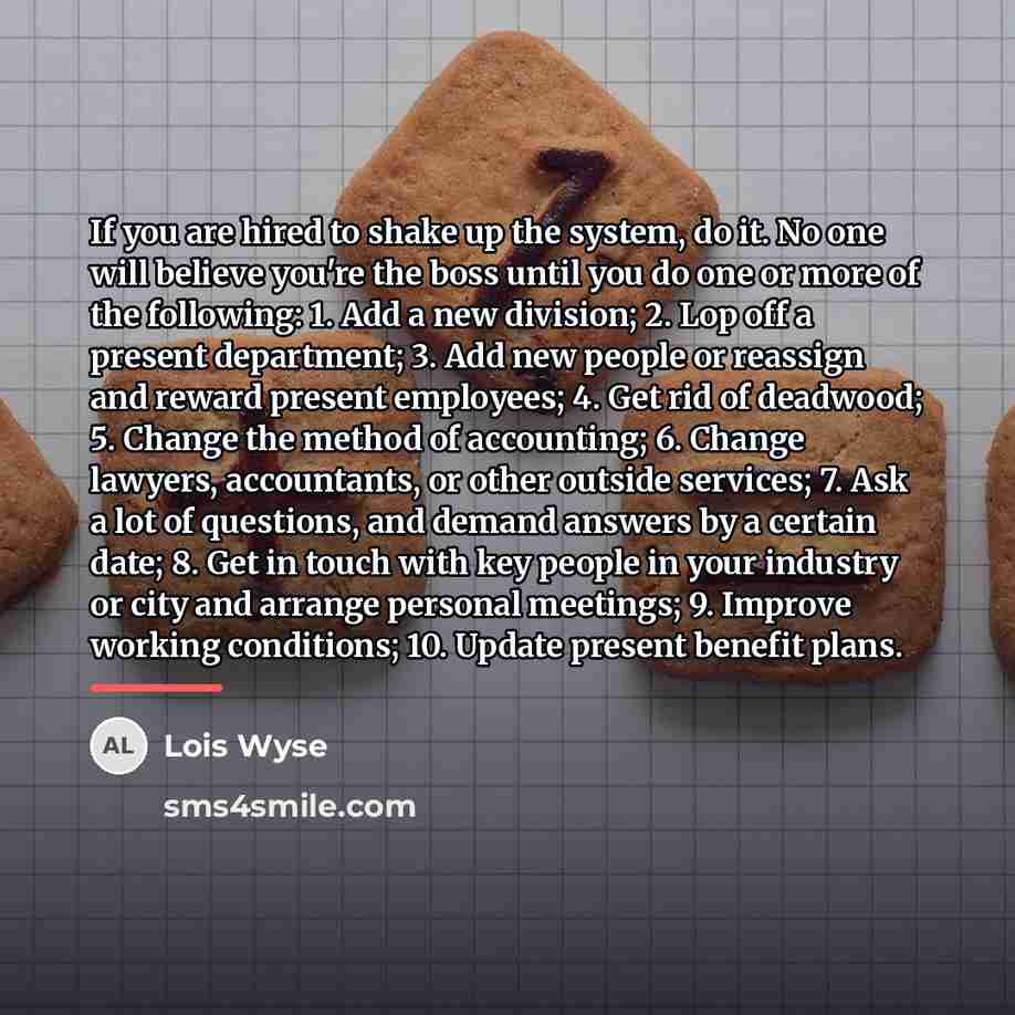 “If you are hired to shake up the system, do…” quote by Lois Wyse
