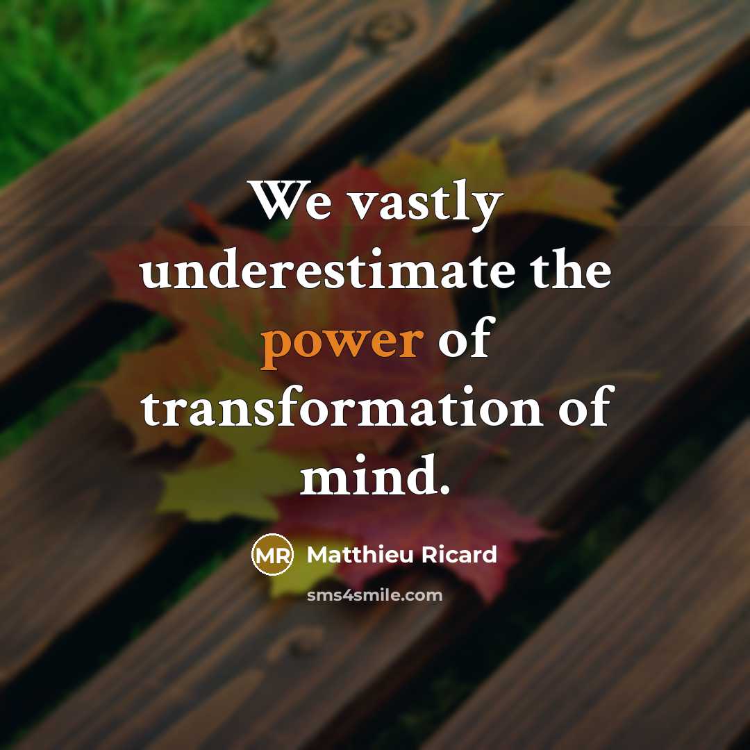 “We vastly underestimate the power of transformation of mind.…” quote by Matthieu Ricard