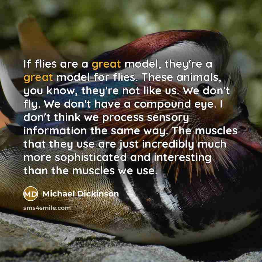 “If flies are a great model, they're a great model…” quote by Michael Dickinson