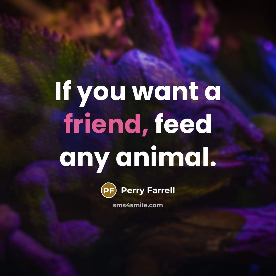 “If you want a friend, feed any animal.…” quote by Perry Farrell