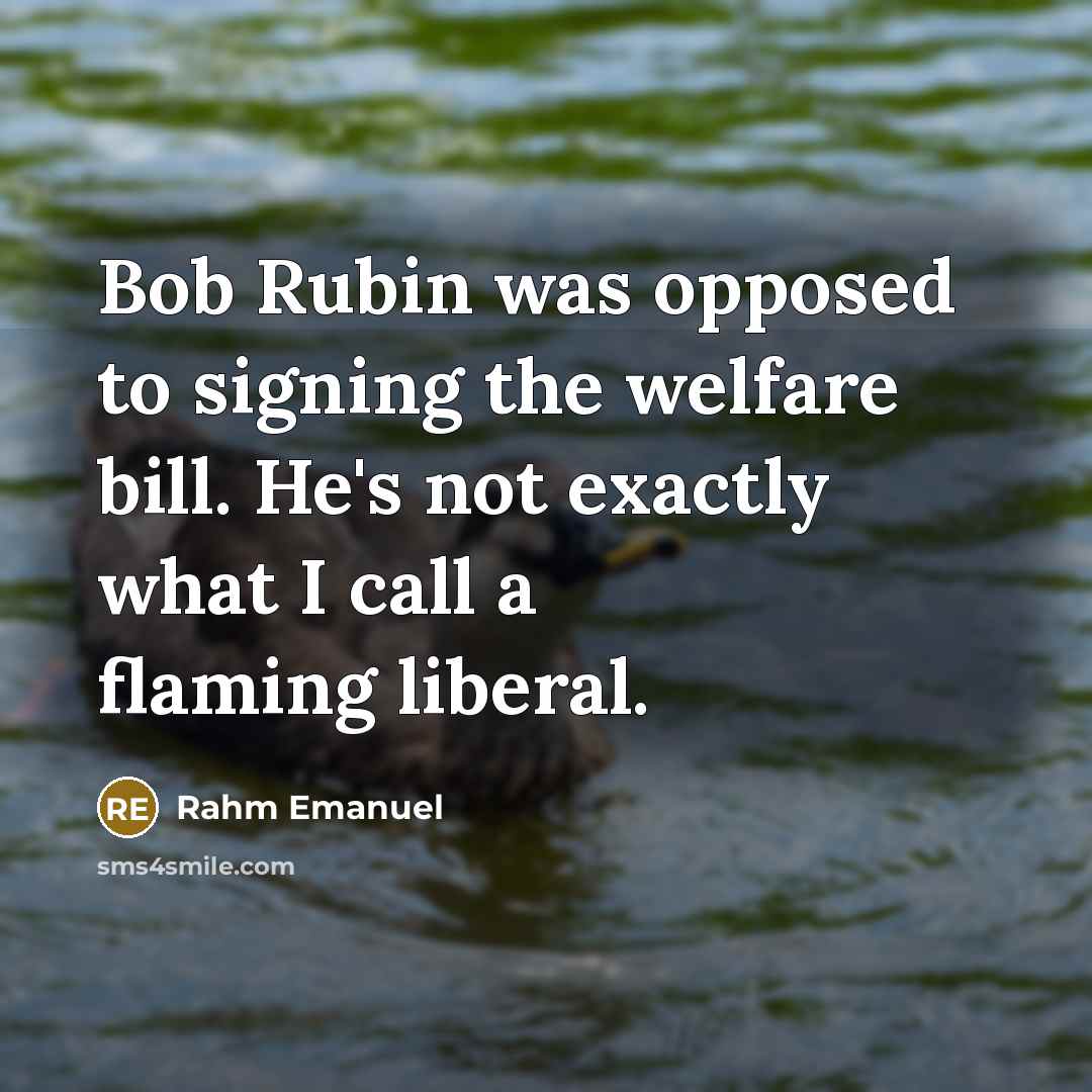 “Bob Rubin was opposed to signing the welfare bill. He's…” quote by Rahm Emanuel