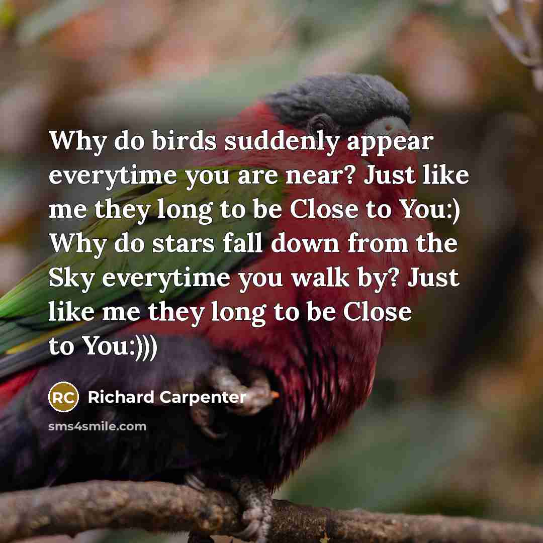 “Why do birds suddenly appear everytime you are near? Just…” quote by Richard Carpenter