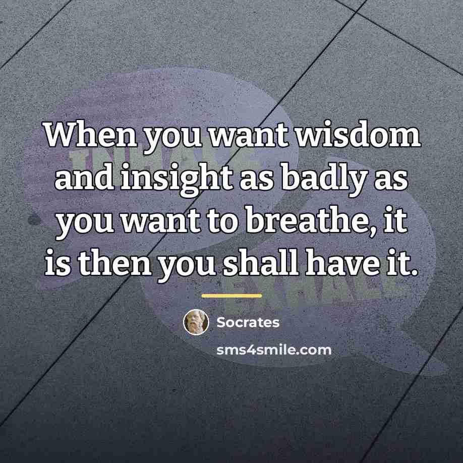 “When you want wisdom and insight as badly as you…” quote by Socrates