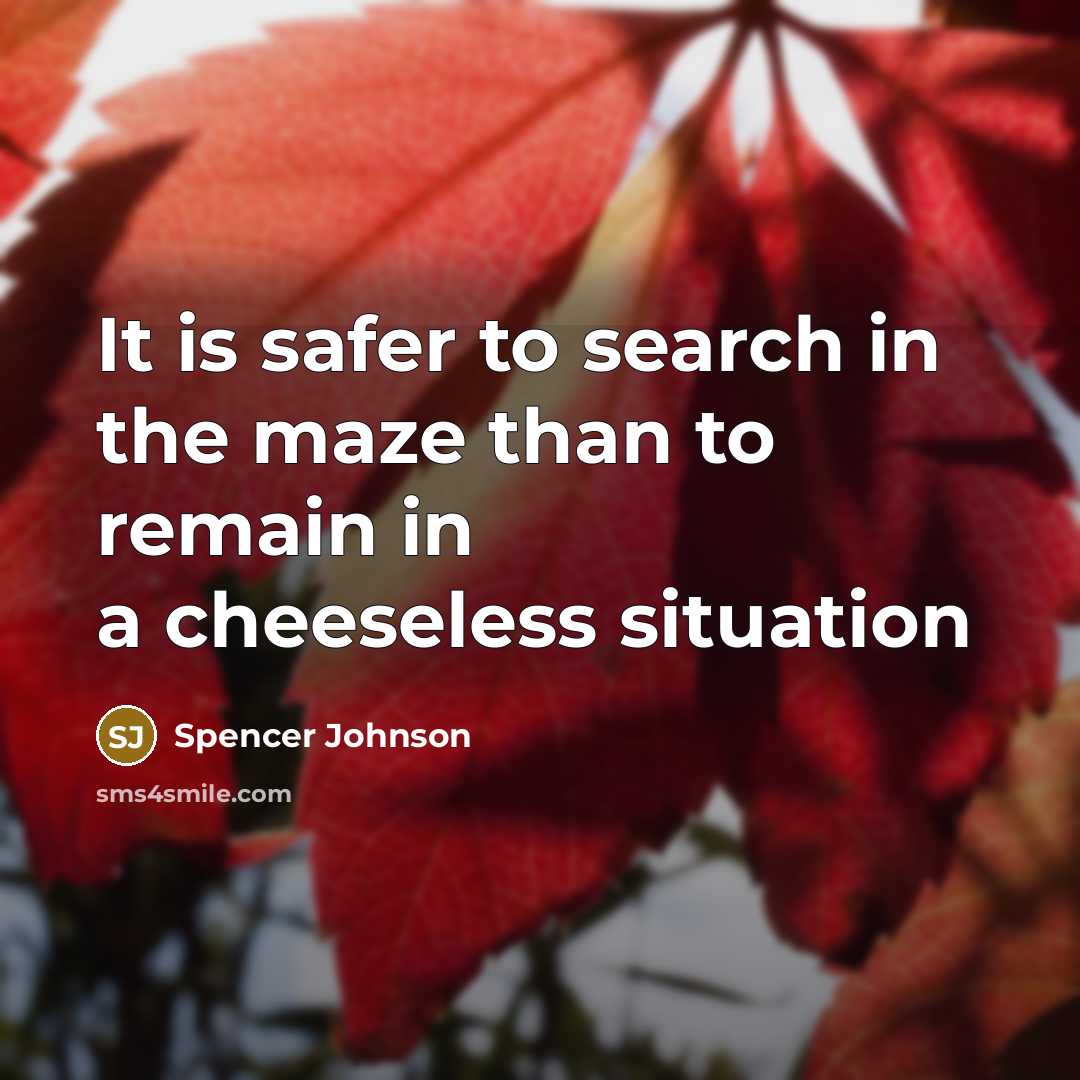“It is safer to search in the maze than to…” quote by Spencer Johnson