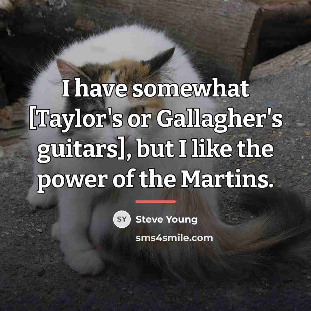 “I have somewhat [Taylor's or Gallagher's guitars], but I like…” quote by Steve Young
