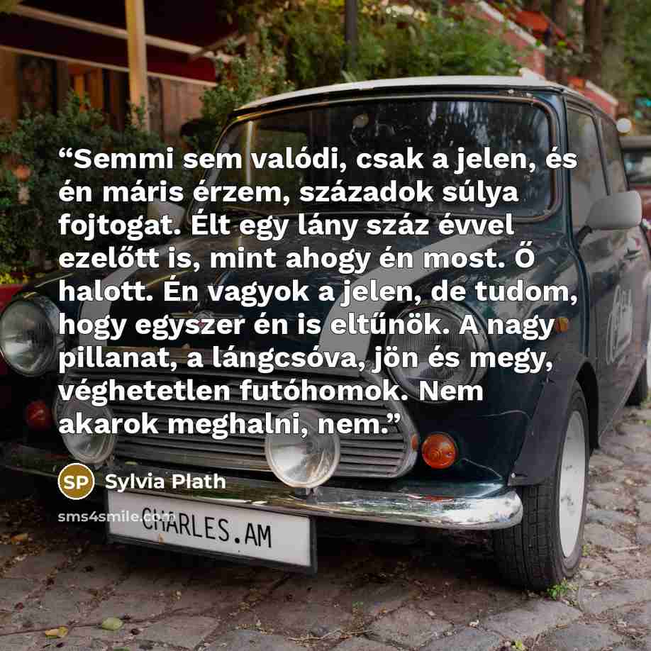 “Semmi sem valódi, csak a jelen, és én máris érzem, századok súlya fojtogat. Élt egy lány száz évvel ezelőtt is, mint ahogy én most. Ő halott. Én vagyok a jelen, de tudom, hogy egyszer én is eltűnök. A nagy pillanat, a lángcsóva, jön és megy, véghetetlen futóhomok. Nem akarok meghalni, nem.” quote by Sylvia Plath