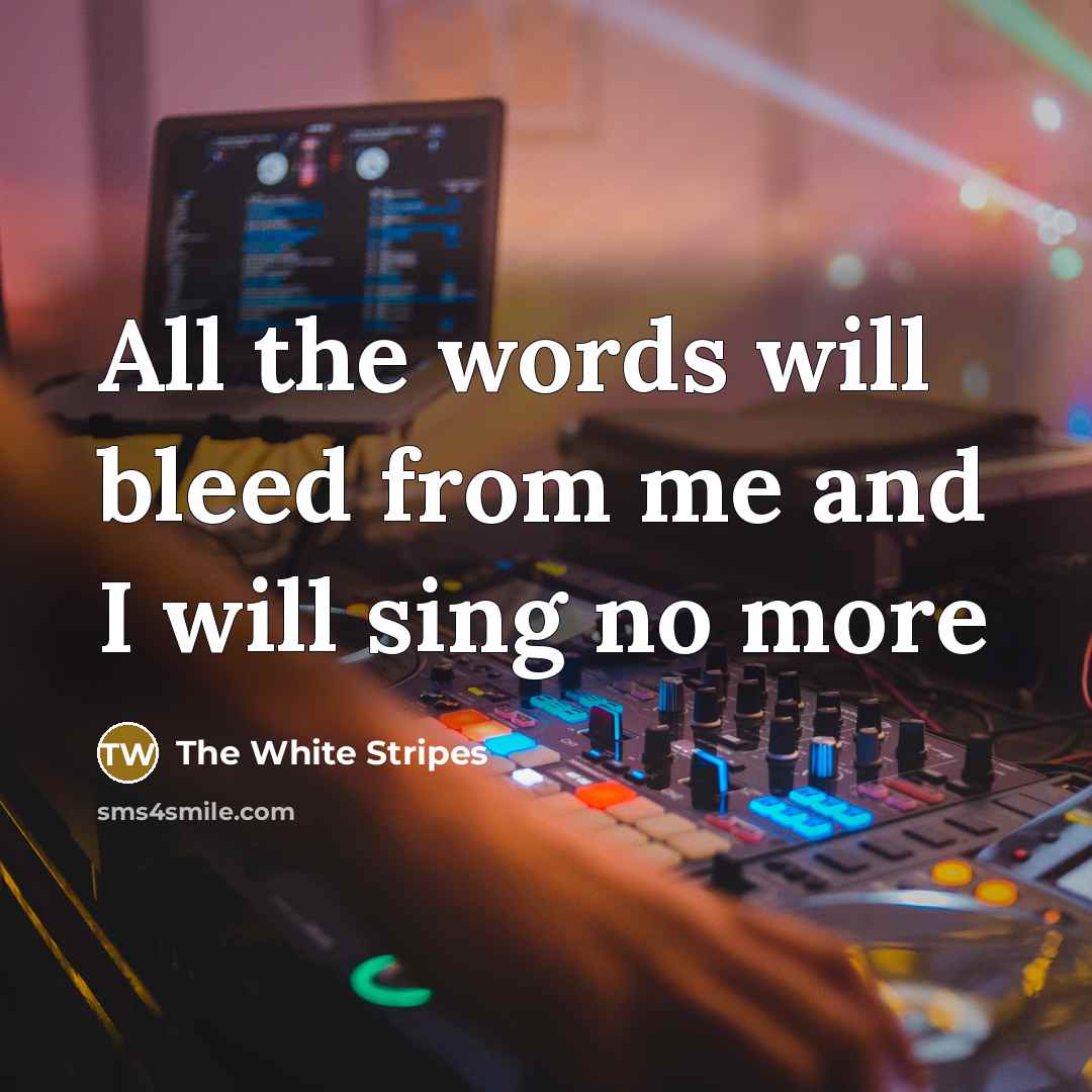 “All the words will bleed from me and I will sing no more” quote by The White Stripes