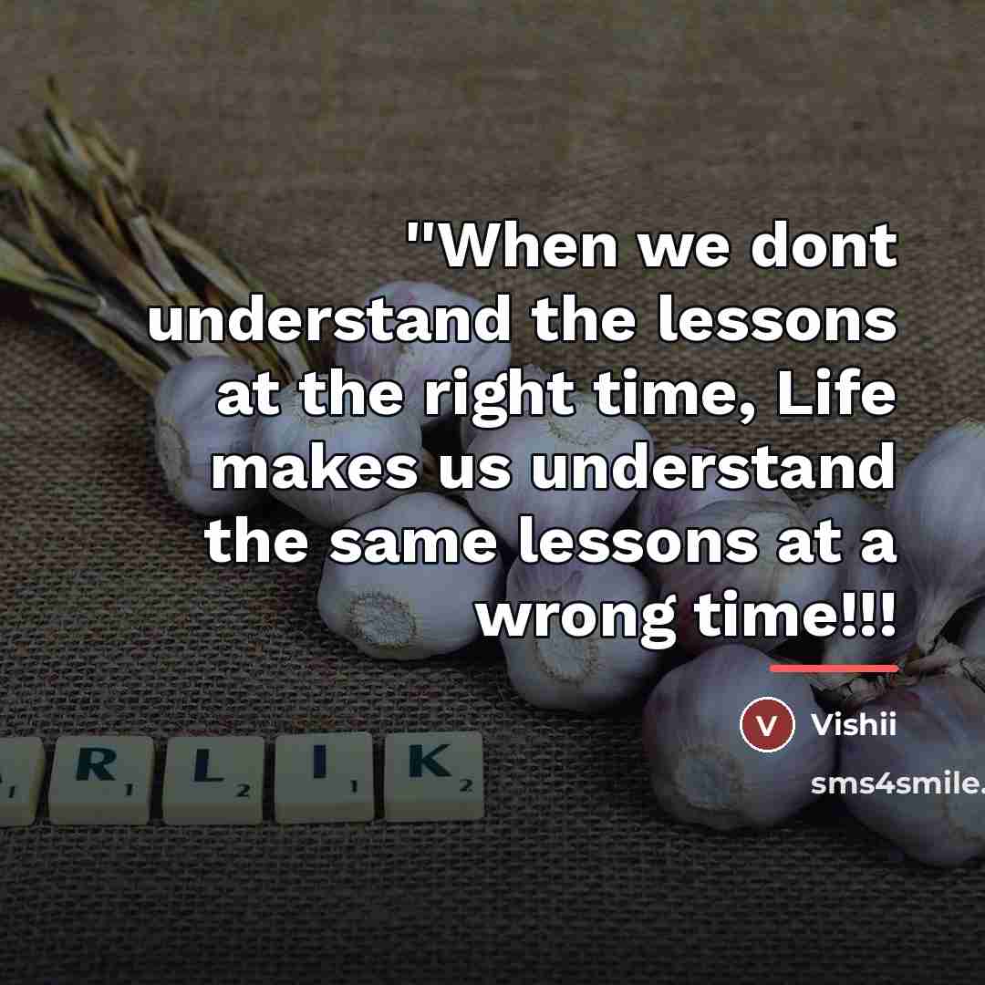 “''When we dont understand the lessons at the right time,…” quote by Vishii