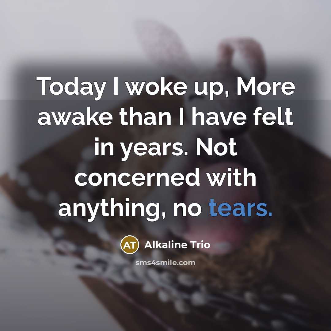 “Today I woke up, More awake than I have felt…” quote by Alkaline Trio