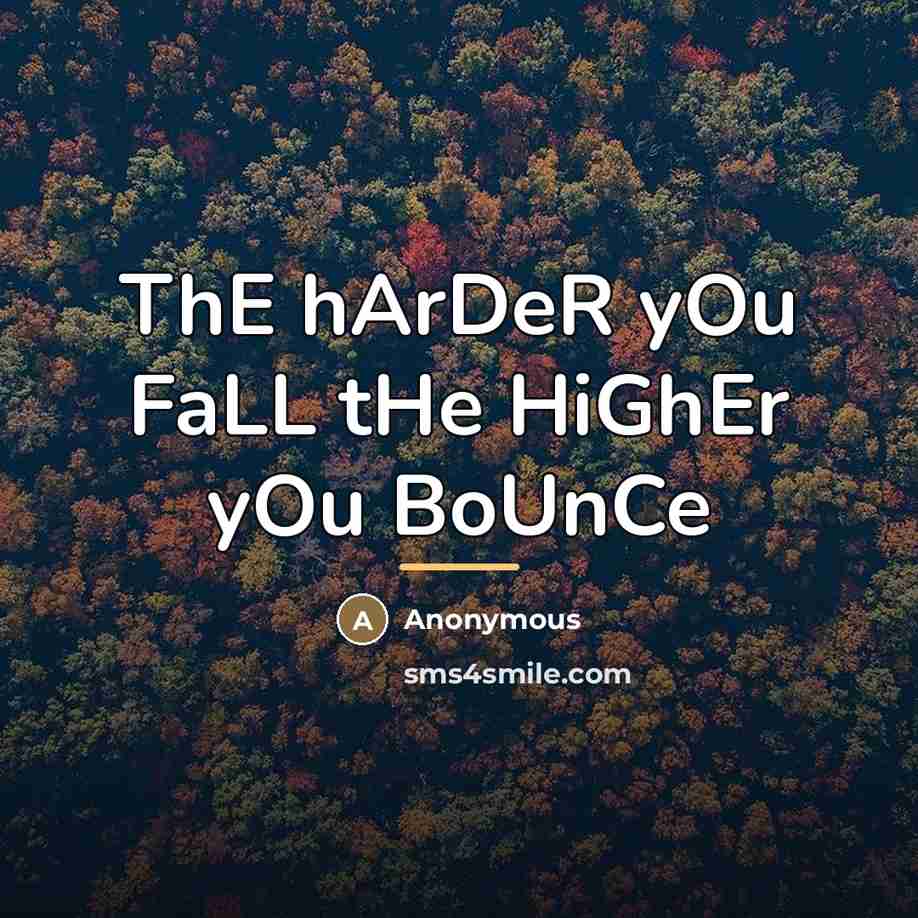 “ThE hArDeR yOu FaLL tHe HiGhEr yOu BoUnCe…” quote by Anonymous