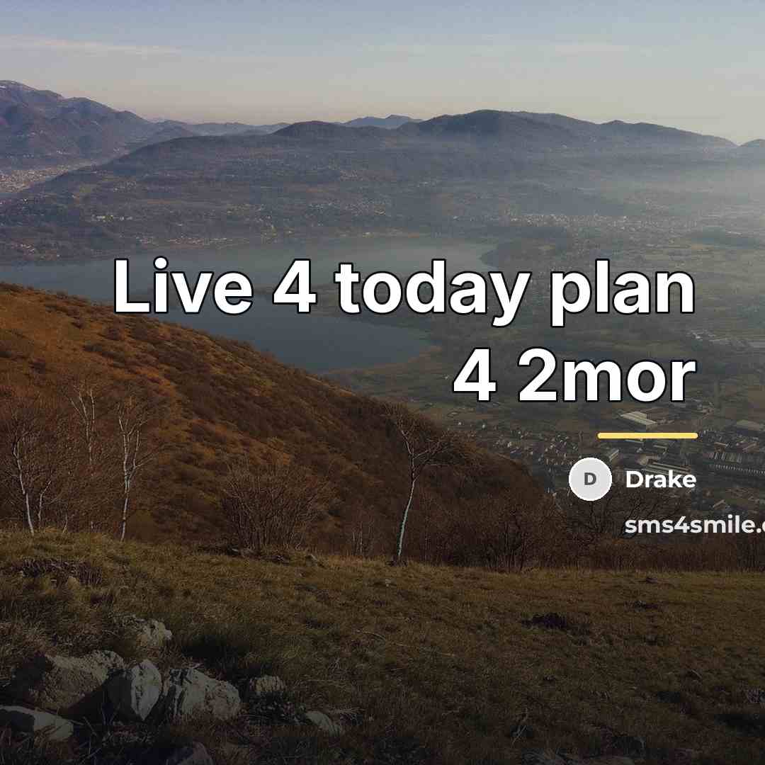 “Live 4 today plan 4 2mor…” quote by DRaKE