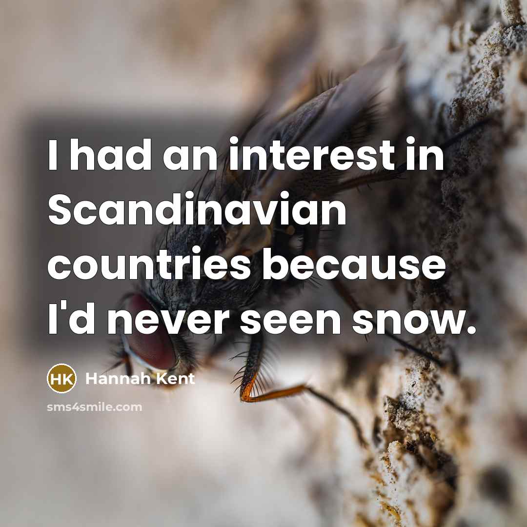 “I had an interest in Scandinavian countries because I'd never…” quote by Hannah Kent