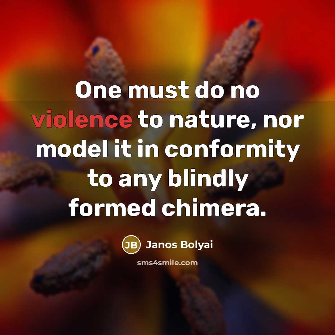 “One must do no violence to nature, nor model it…” quote by Janos Bolyai