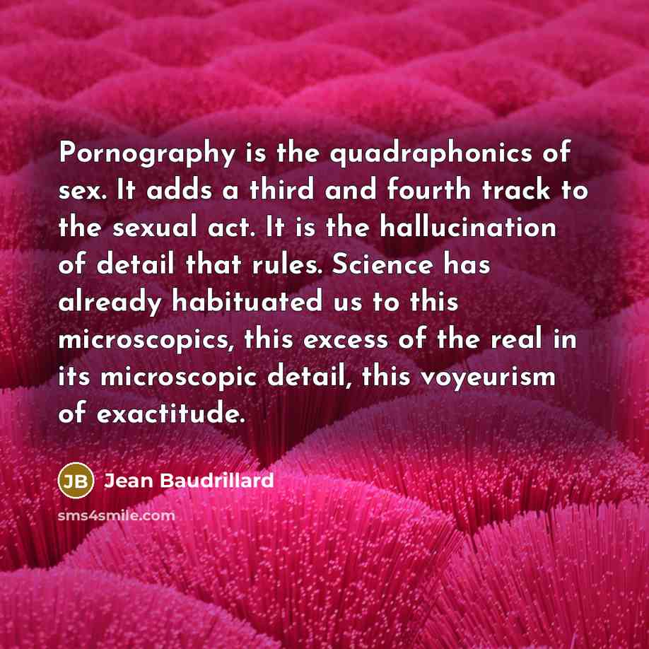 “Pornography is the quadraphonics of sex. It adds a third…” quote by Jean Baudrillard