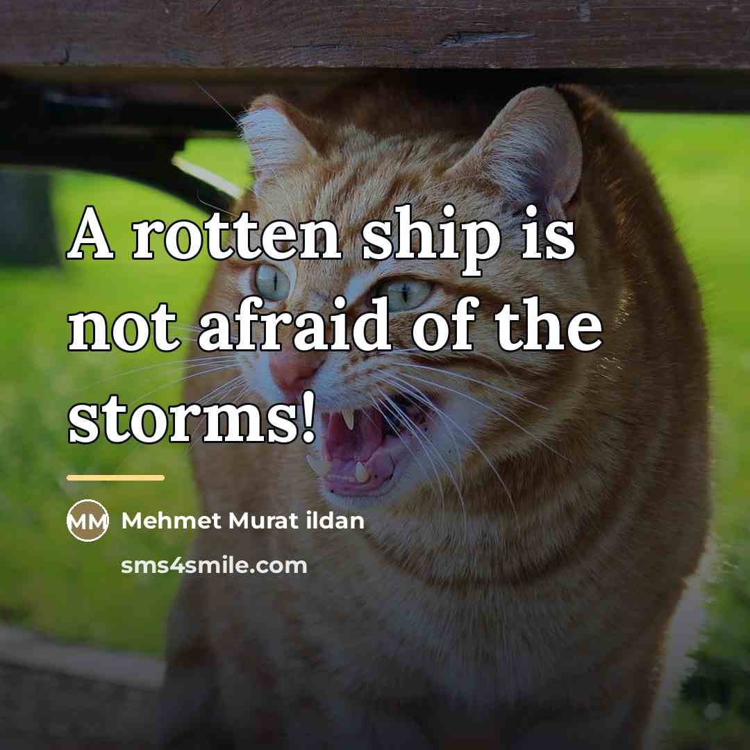 “A rotten ship is not afraid of the storms!…” quote by Mehmet Murat Ildan