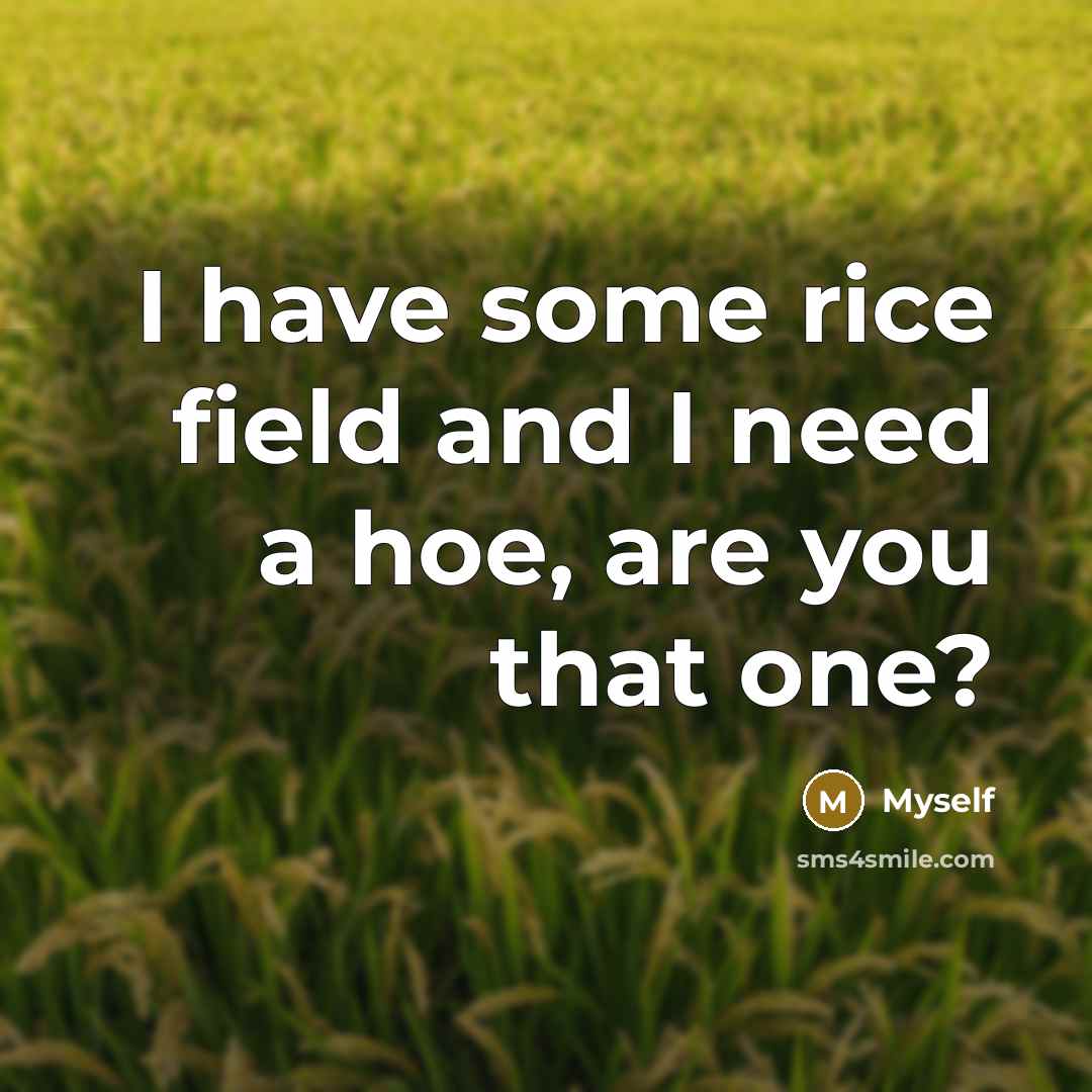 “I have some rice field and I need a hoe,…” quote by Myself