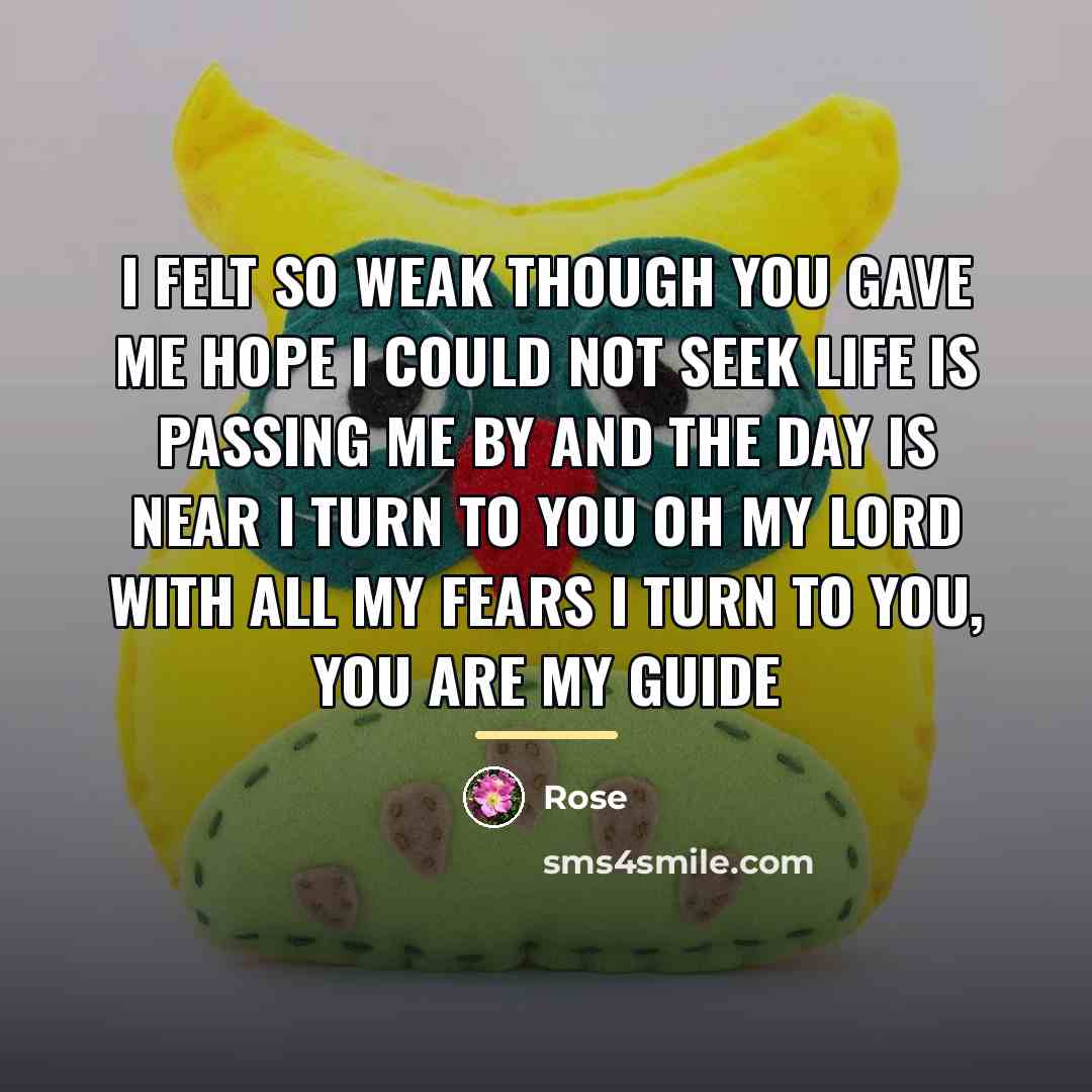 “I felt so weak Though you gave me hope I…” quote by Rose