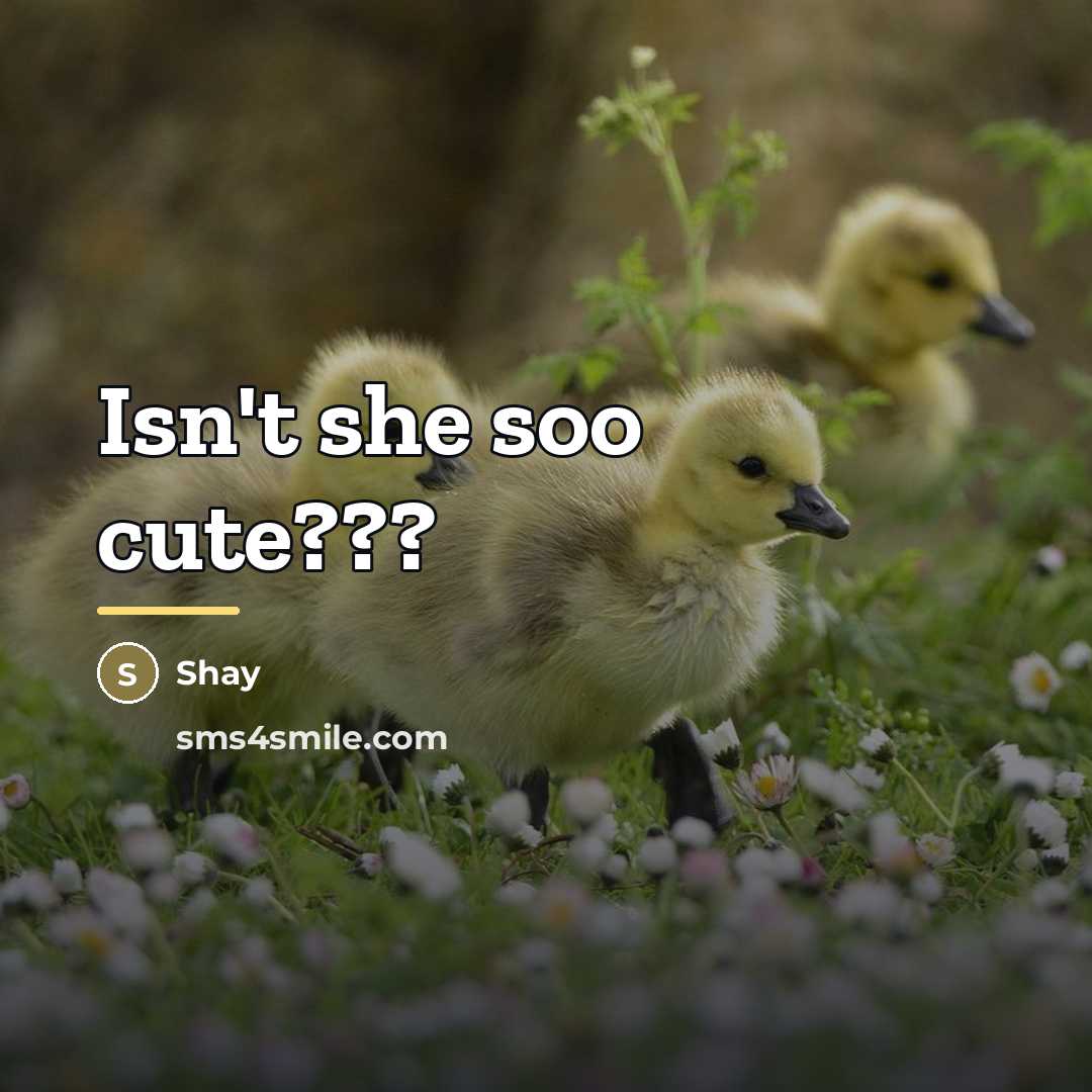 “Isn't she soo cute???…” quote by Shay