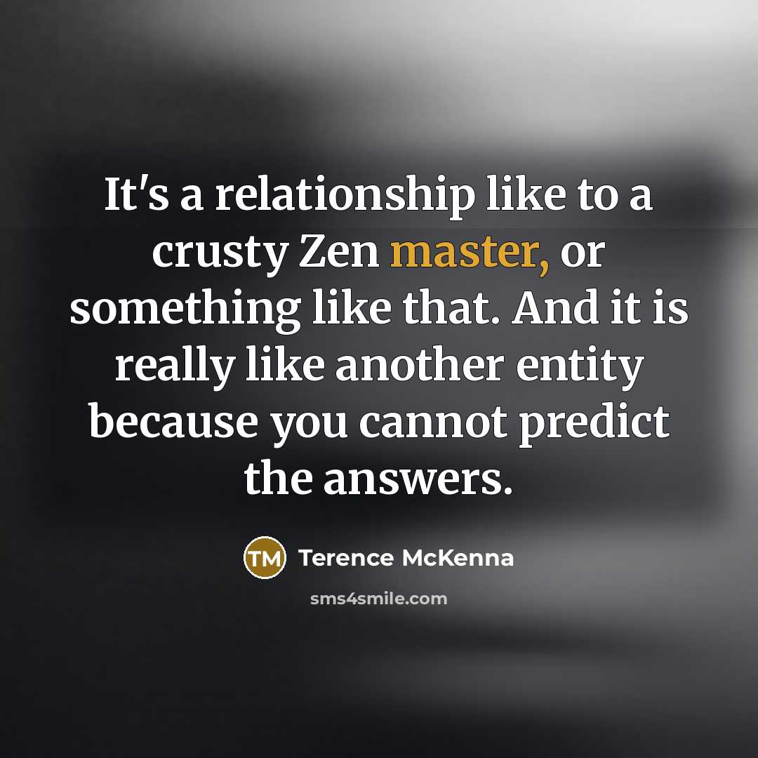 “It's a relationship like to a crusty Zen master, or…” quote by Terence McKenna