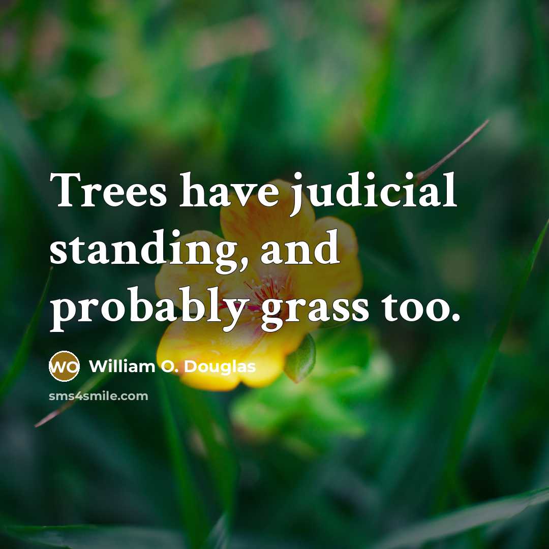 “Trees have judicial standing, and probably grass too.” quote by William O. Douglas