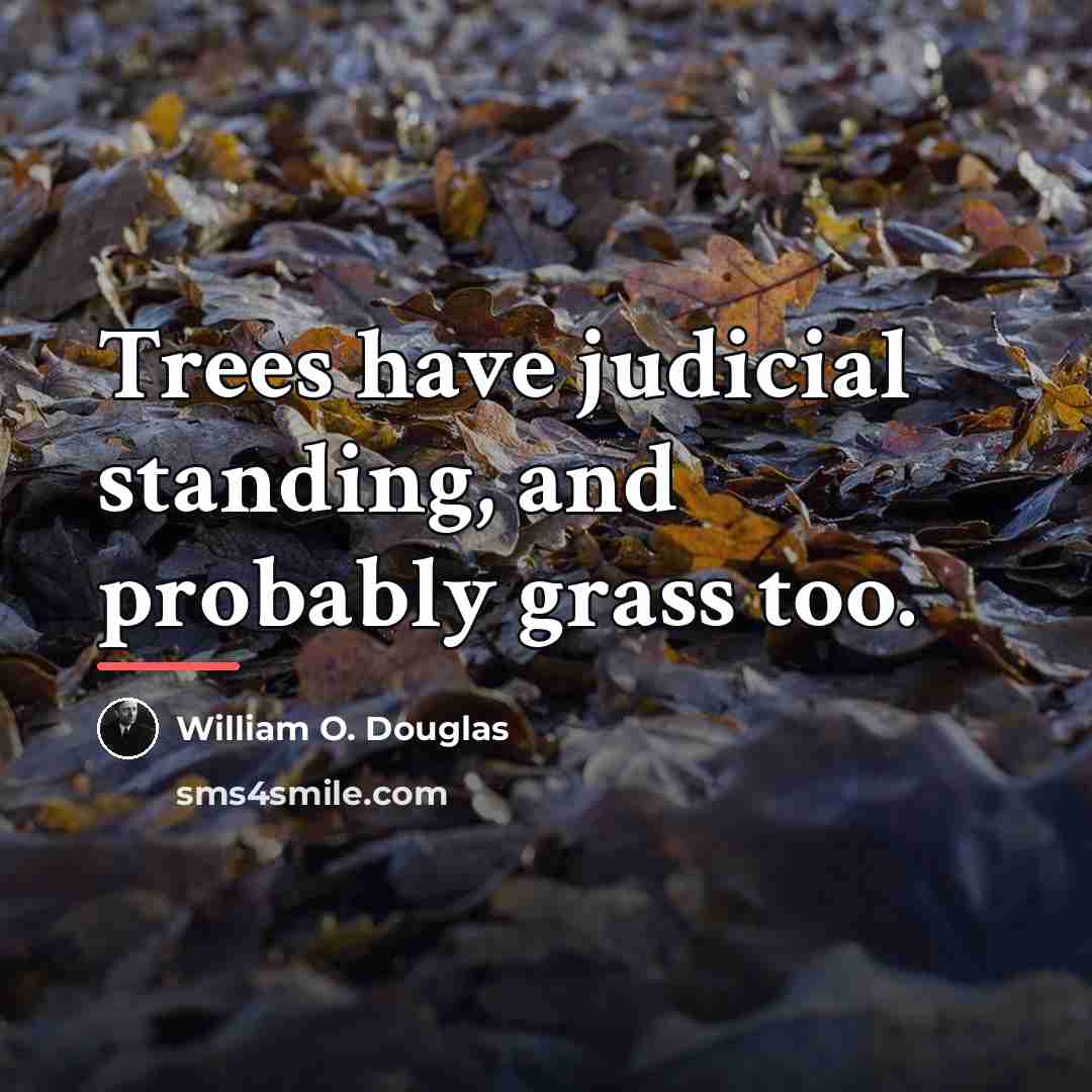 “Trees have judicial standing, and probably grass too.…” quote by William O. Douglas