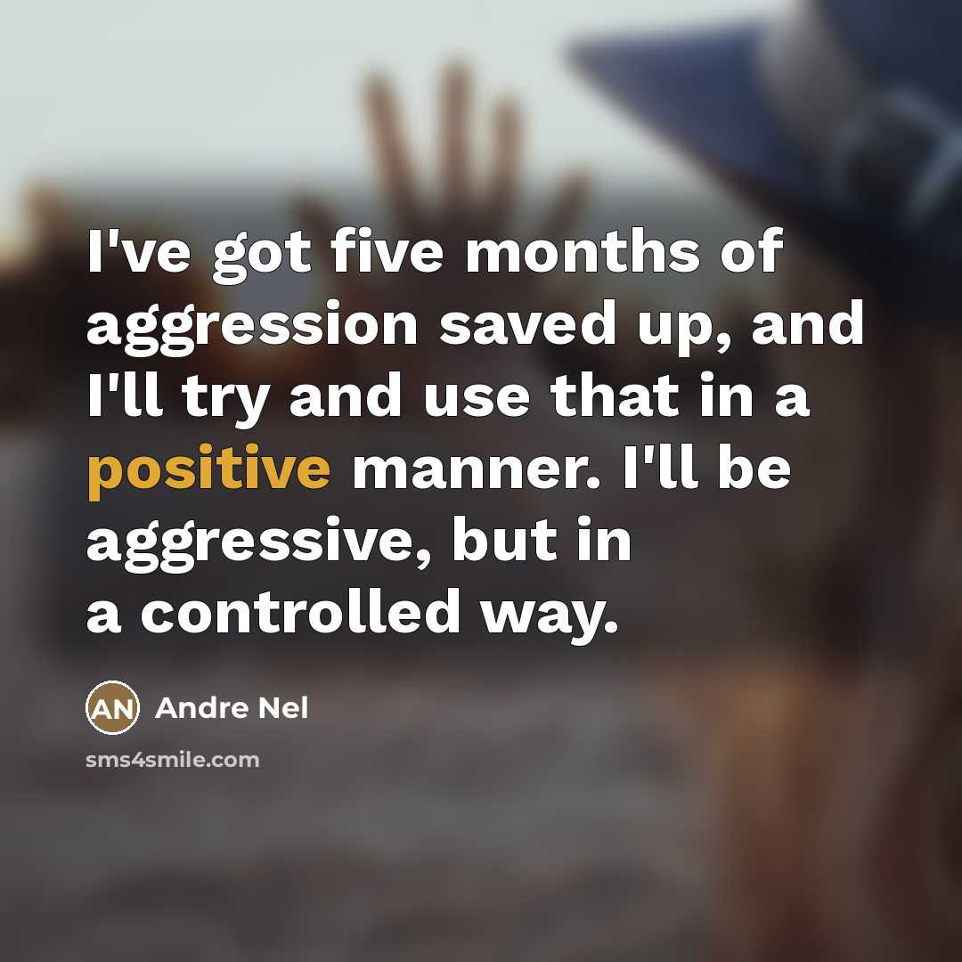 “I've got five months of aggression saved up, and I'll…” quote by Andre Nel