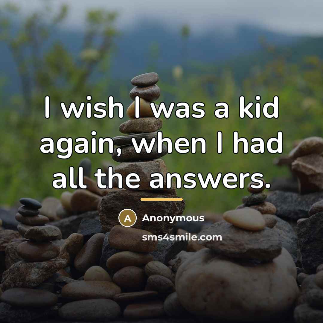 “I wish I was a kid again, when I had…” quote by Anonymous