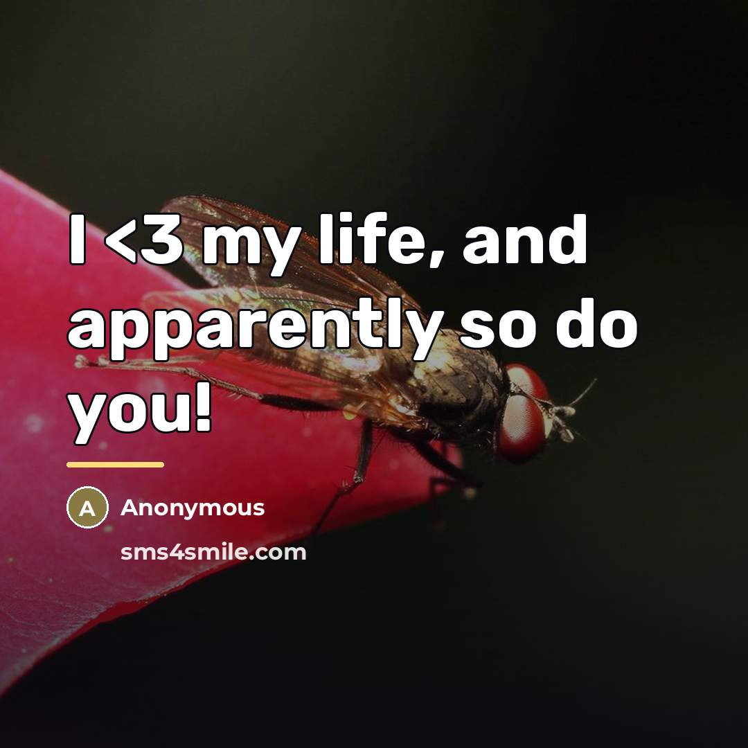 “I…” quote by Anonymous