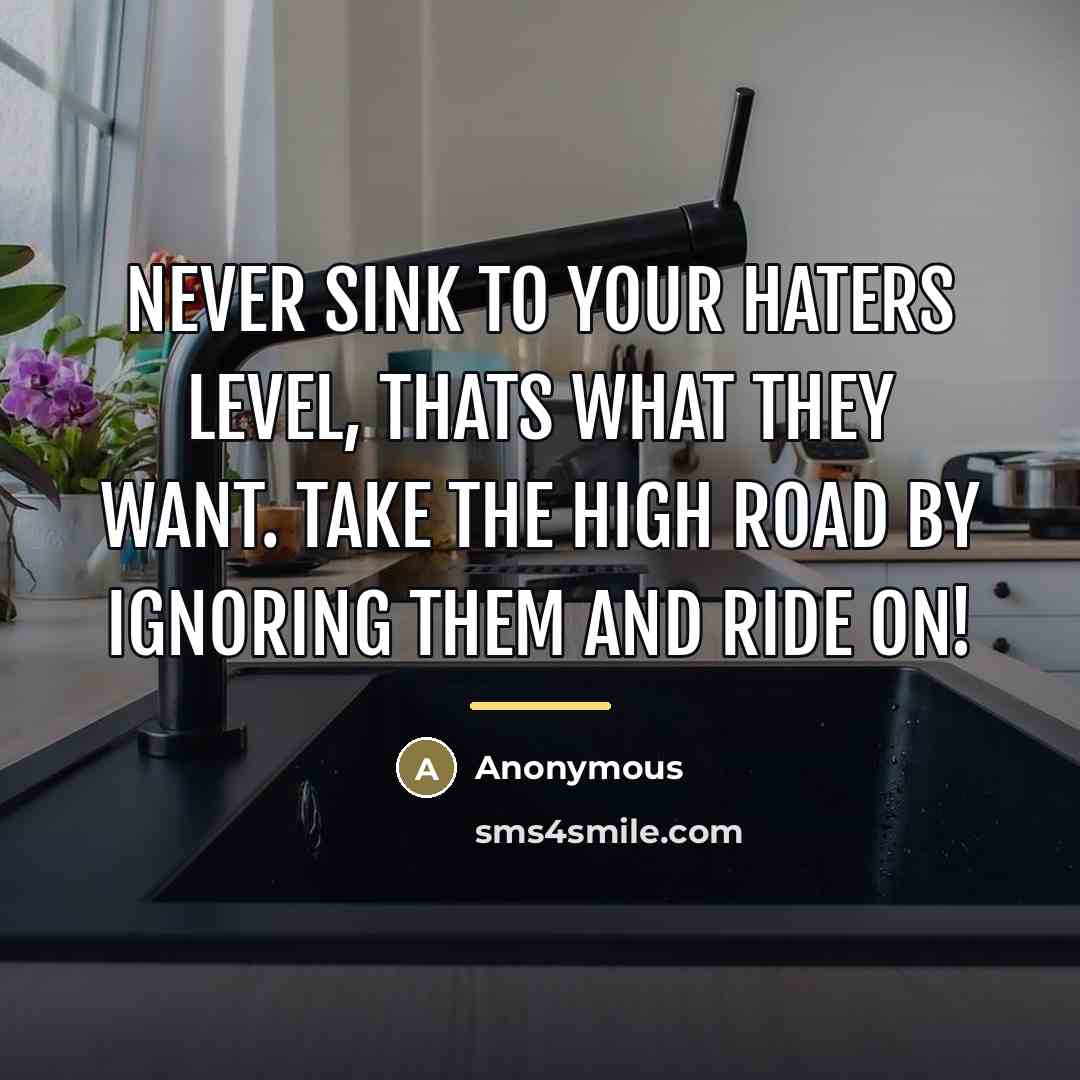“Never sink to your haters level, thats what they want.…” quote by Anonymous