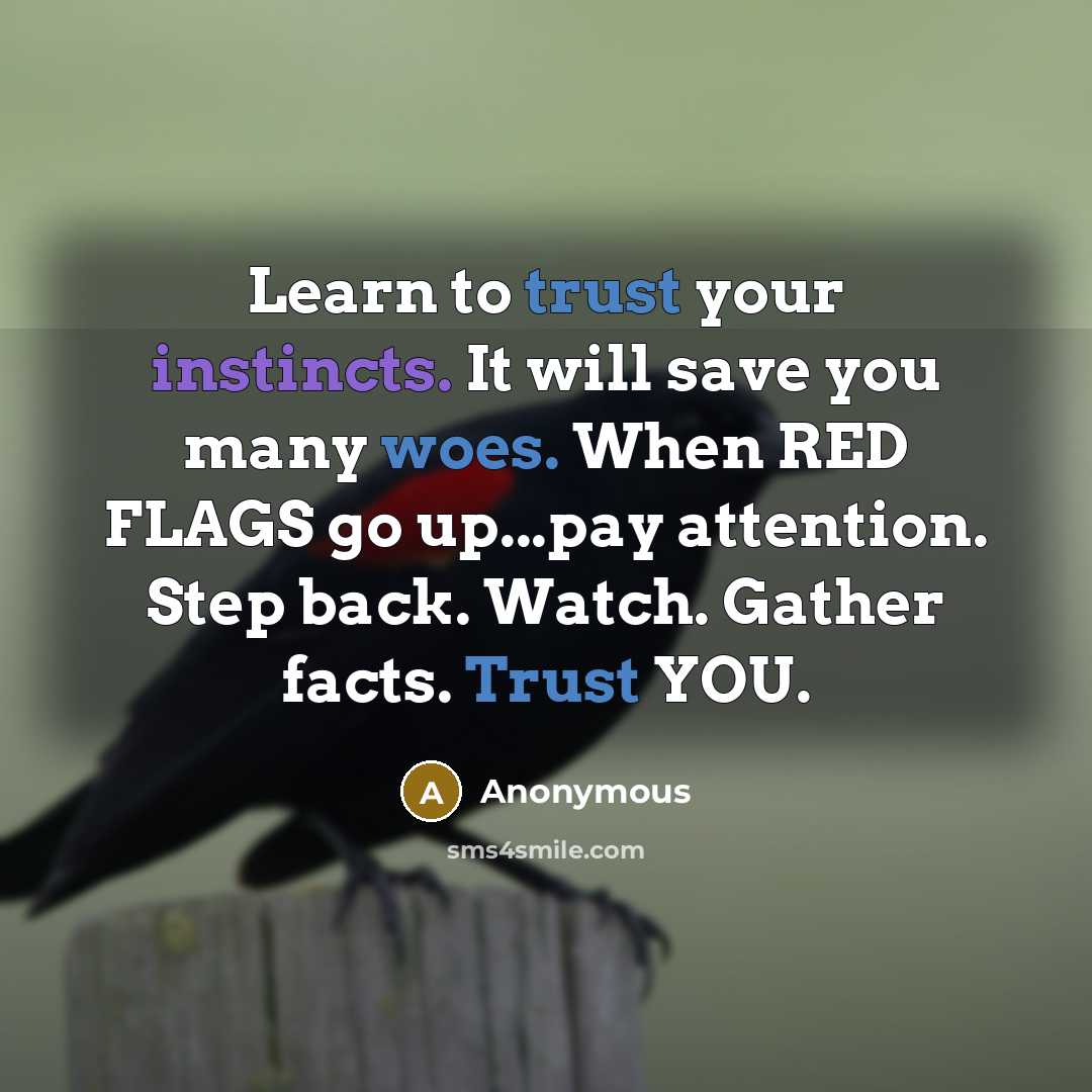 “Learn to trust your instincts. It will save you many woes. When RED FLAGS go up...pay attention. Step back. Watch. Gather facts. Trust YOU.” quote by Anonymous