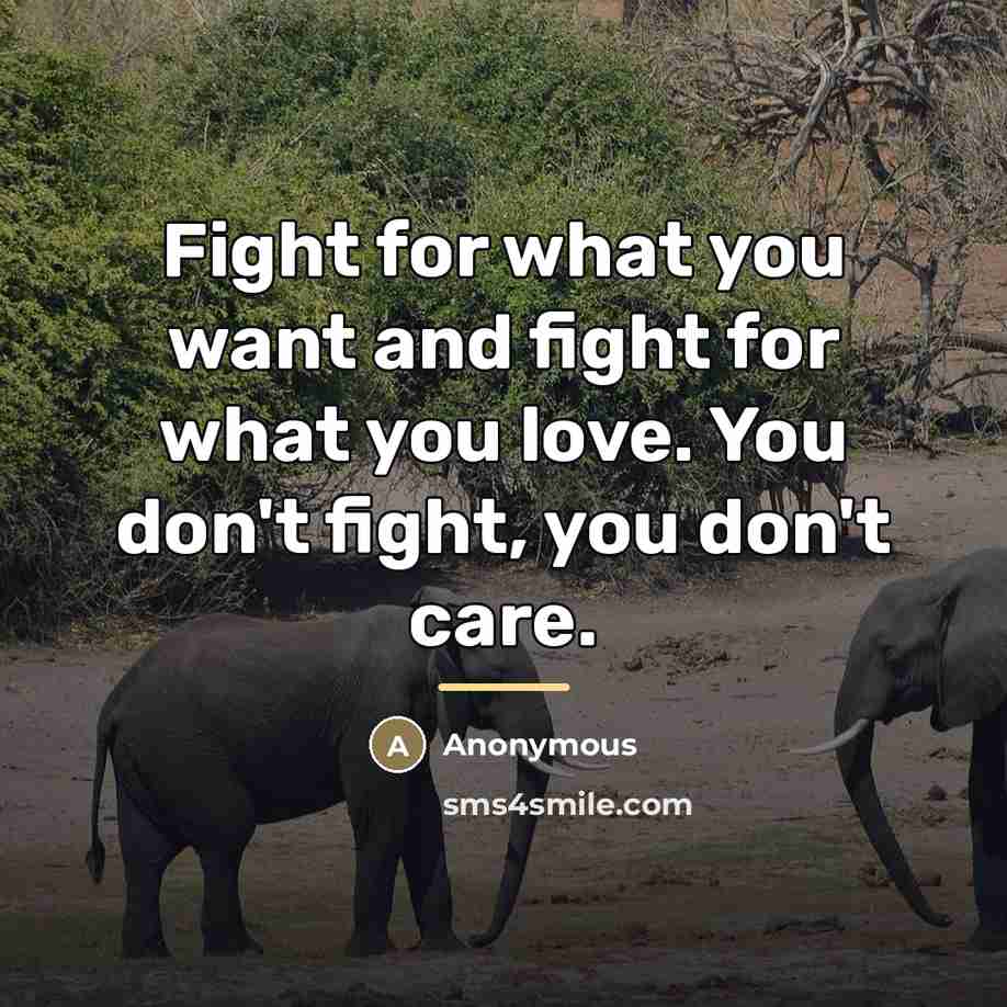 “Fight for what you want and fight for what you…” quote by Anonymous