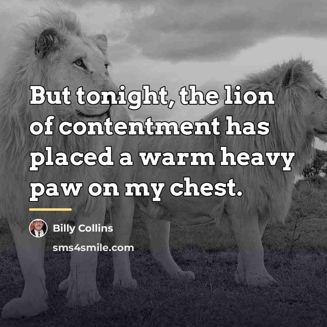 “But tonight, the lion of contentment has placed a warm…” quote by Billy Collins