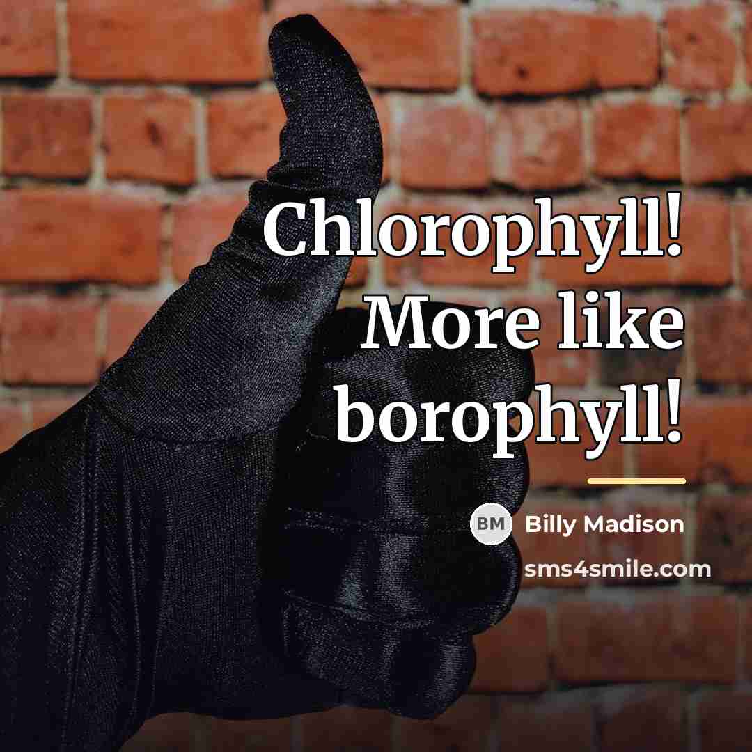 “Chlorophyll! More like borophyll!…” quote by Billy Madison