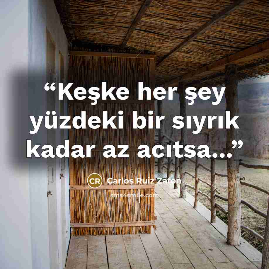 “Keşke her şey yüzdeki bir sıyrık kadar az acıtsa...” quote by Carlos Ruiz Zafón