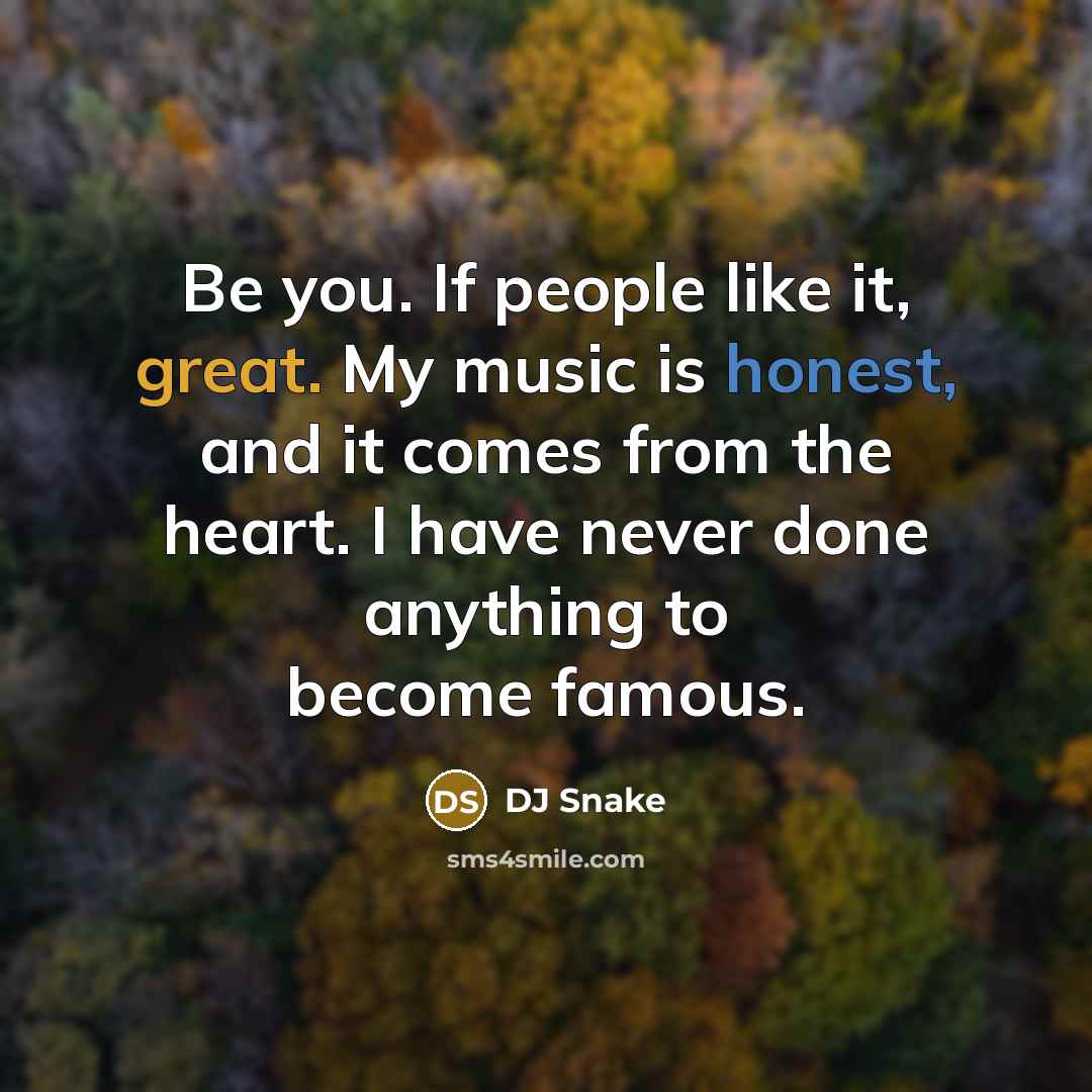 “Be you. If people like it, great. My music is…” quote by DJ Snake