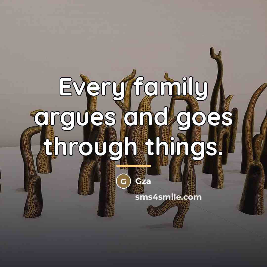 “Every family argues and goes through things.…” quote by Gza
