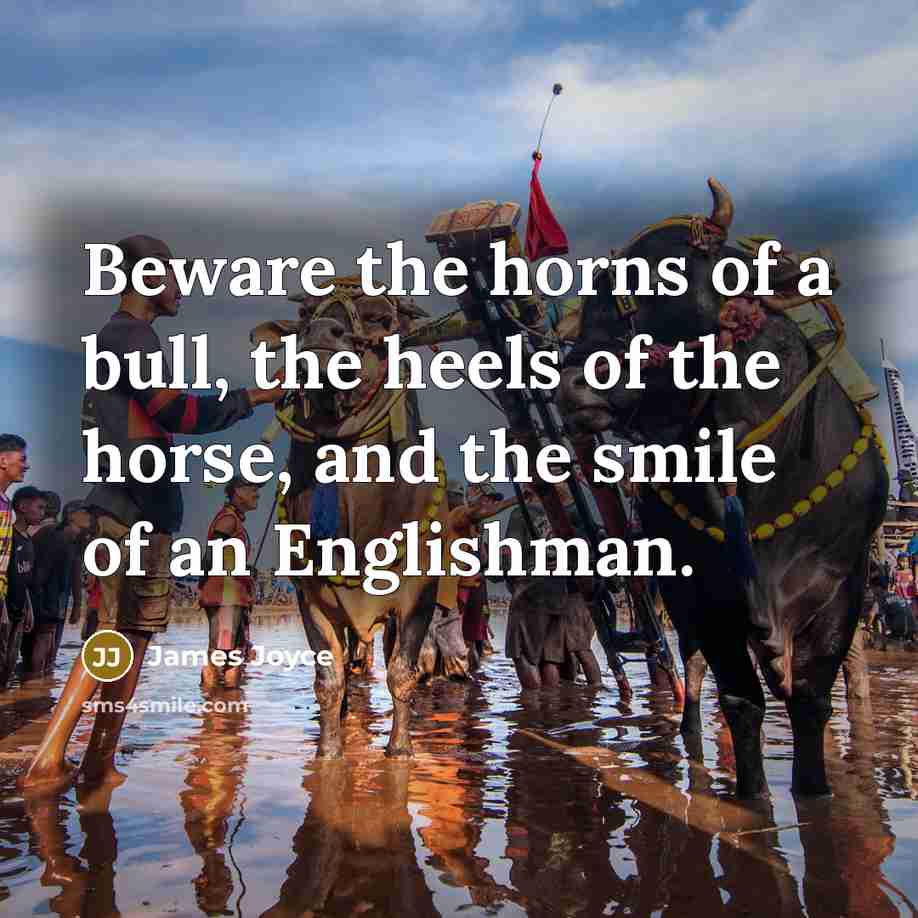 “Beware the horns of a bull, the heels of the…” quote by James Joyce