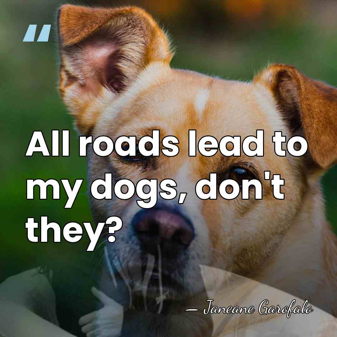 All roads lead to my dogs, don't they? - Janeane Garofalo