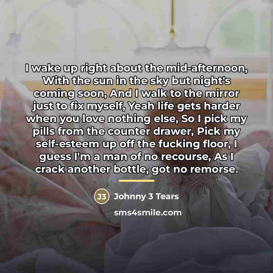 “I wake up right about the mid-afternoon, With the sun…” quote by Johnny 3 Tears