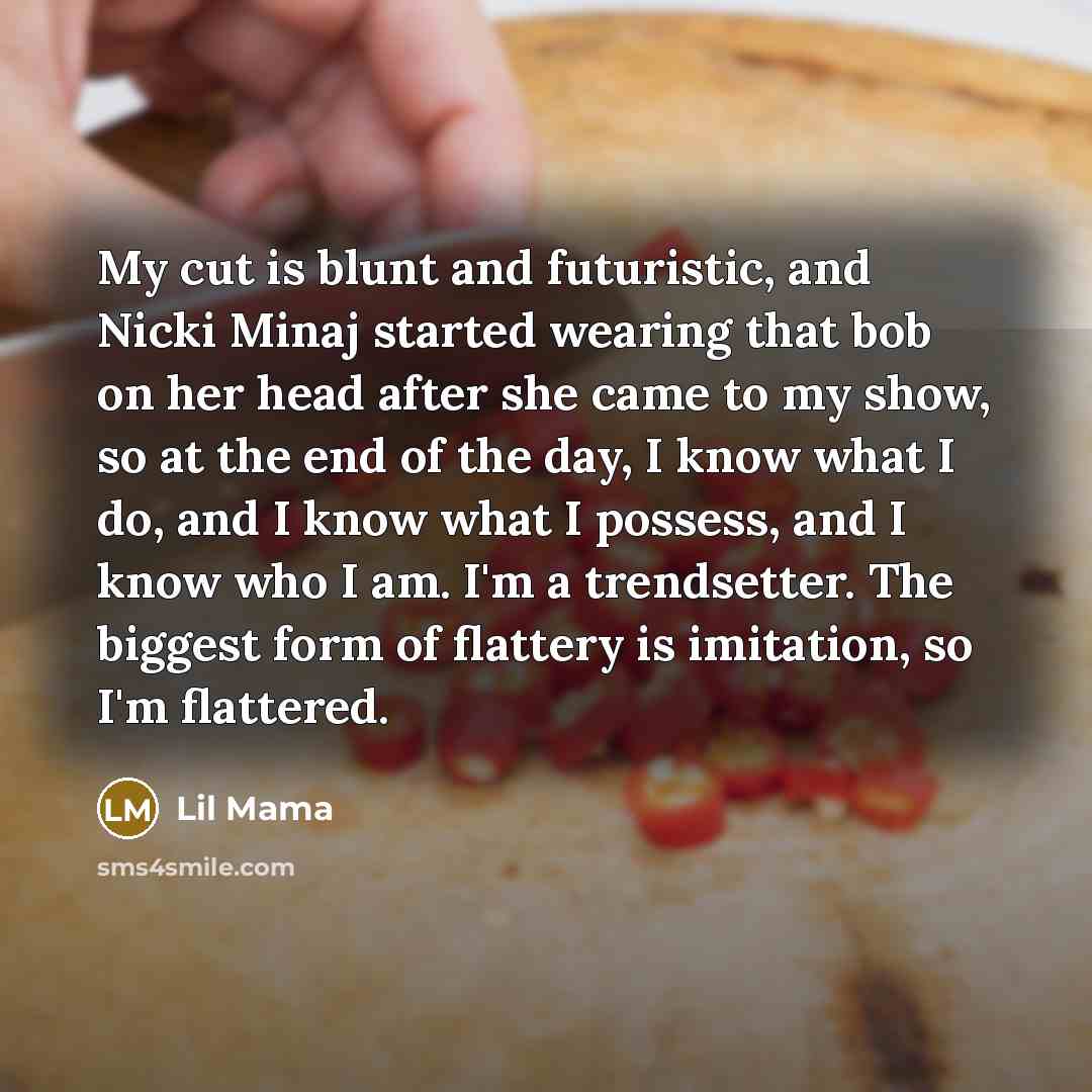 “My cut is blunt and futuristic, and Nicki Minaj started…” quote by Lil Mama