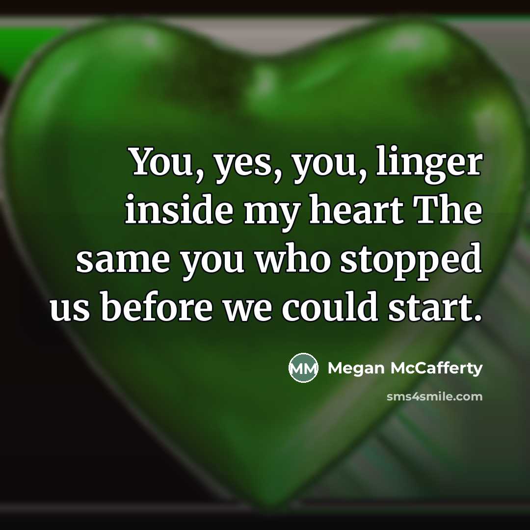 “You, yes, you, linger inside my heart The same you…” quote by Megan McCafferty