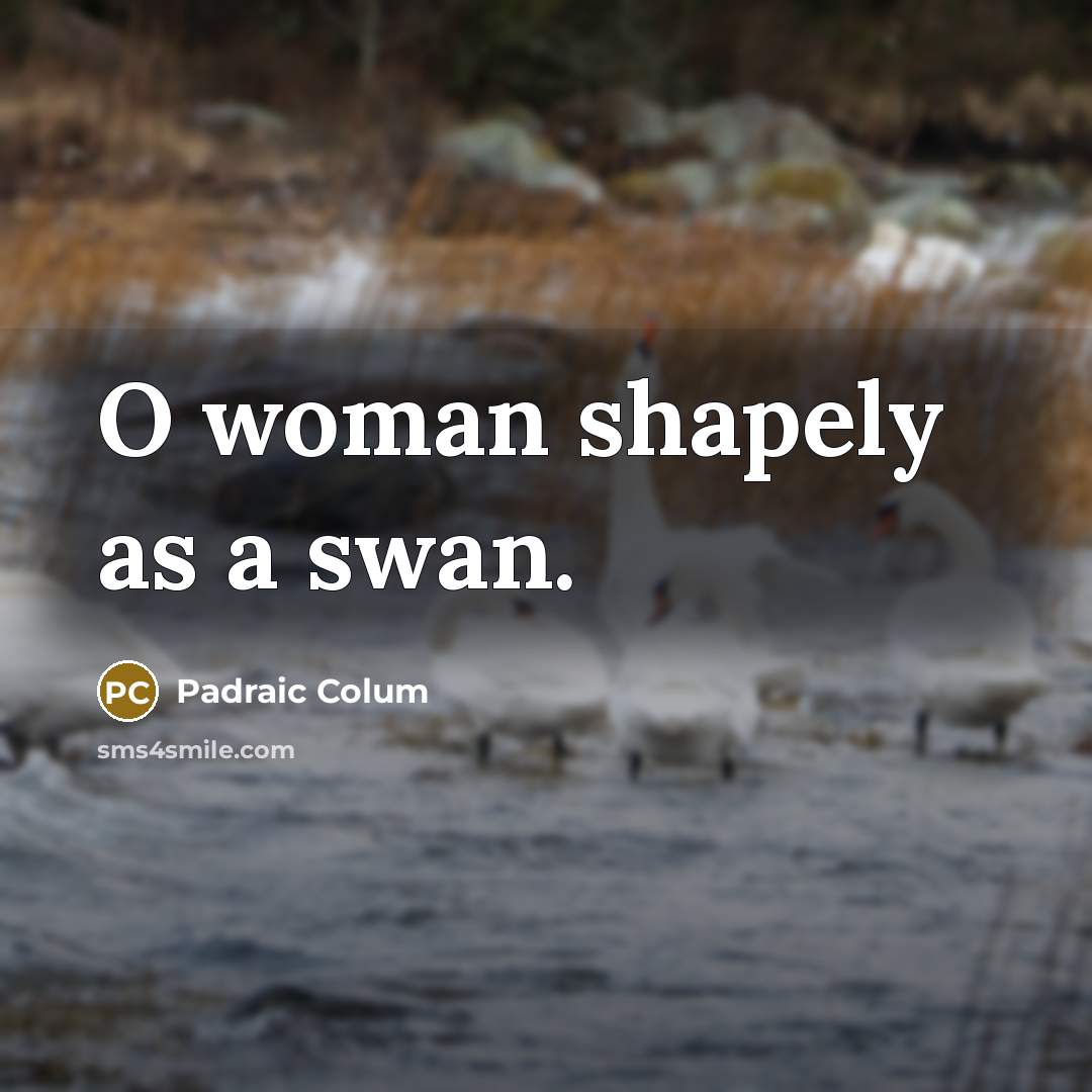 “O woman shapely as a swan.” quote by Padraic Colum