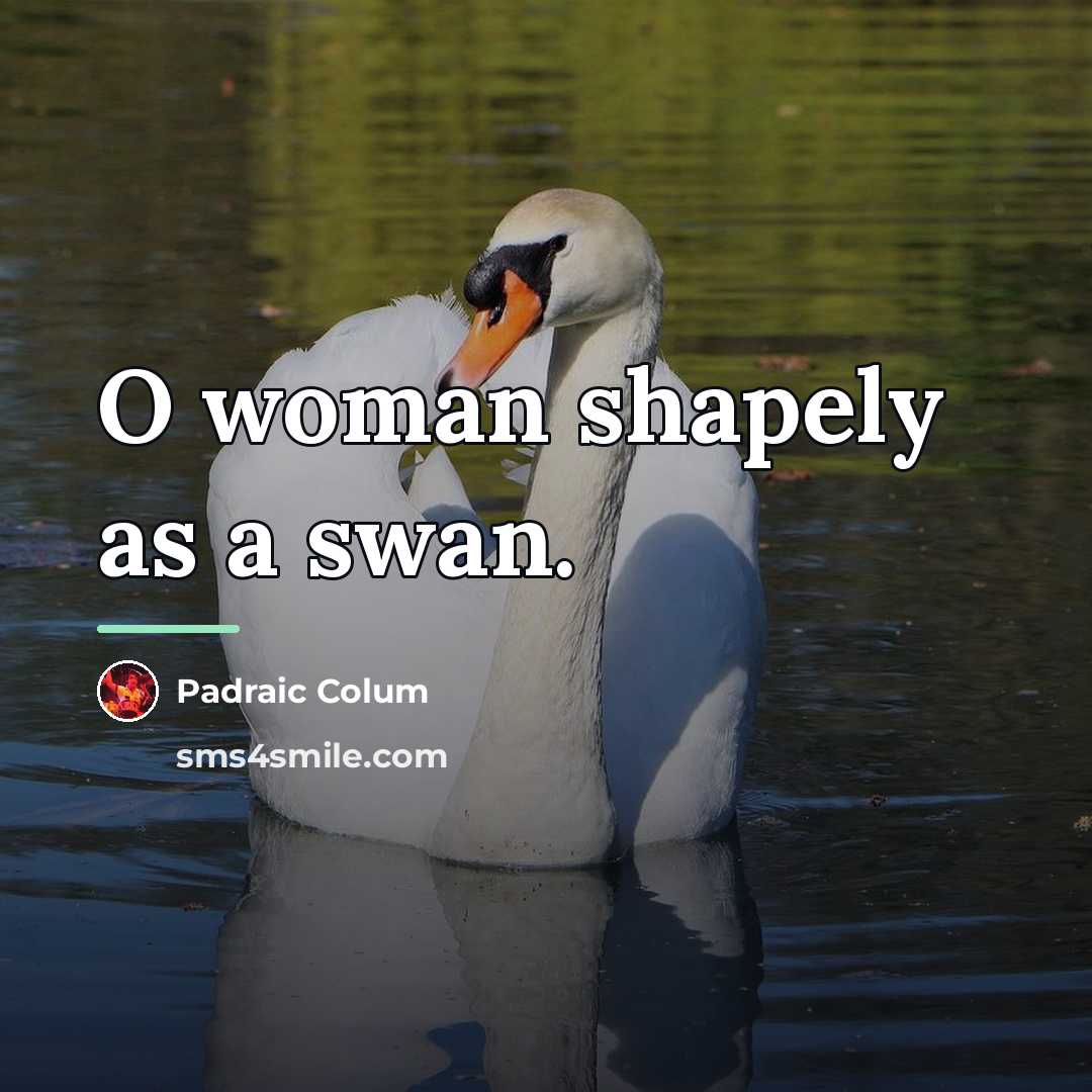 “O woman shapely as a swan.…” quote by Padraic Colum