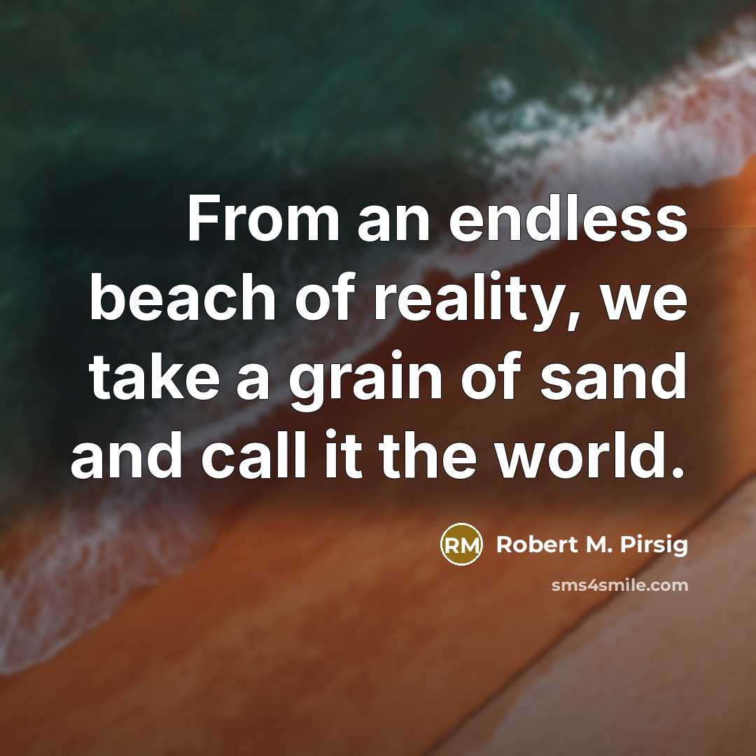 “From an endless beach of reality, we take a grain…” quote by Robert M. Pirsig