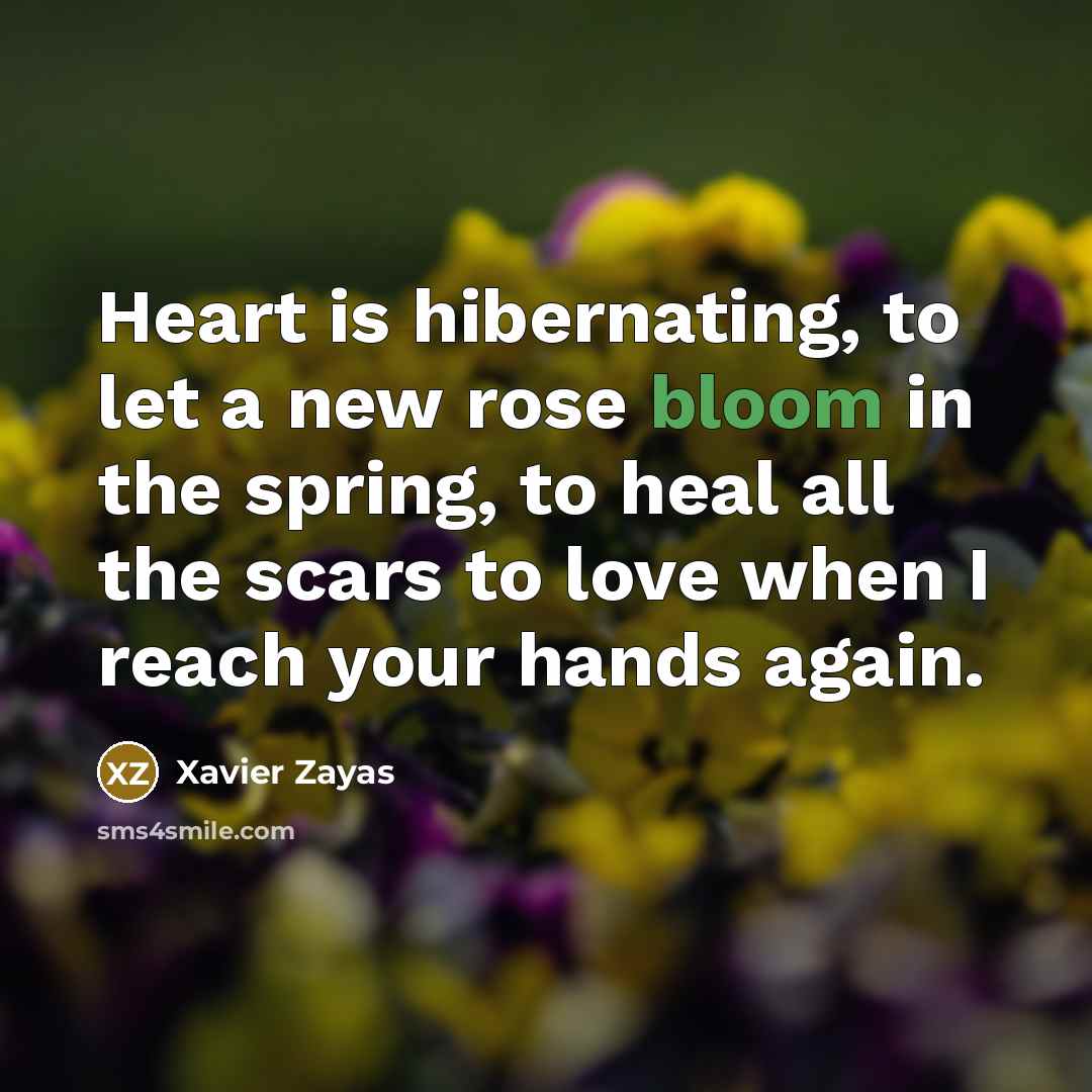 “Heart is hibernating, to let a new rose bloom in…” quote by Xavier Zayas