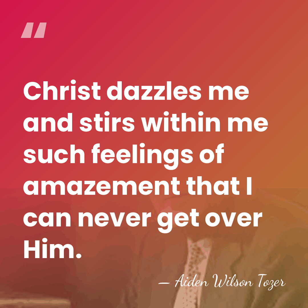 Christ dazzles me and stirs within me such feelings of amazement that&hellip; - Aiden Wilson Tozer