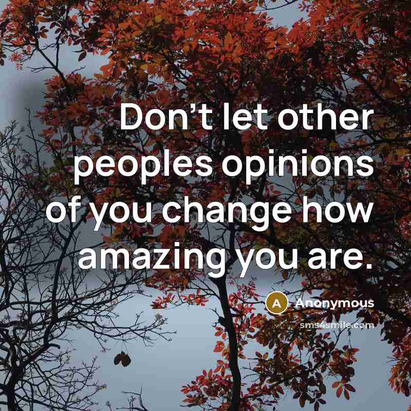 “Don't let other peoples opinions of you change how amazing you are.” quote by Anonymous